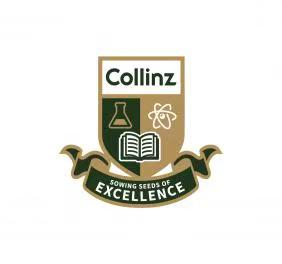 科林兹国际学校 / Collinz International School